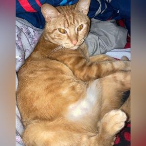 Meet your Posher, Aubree